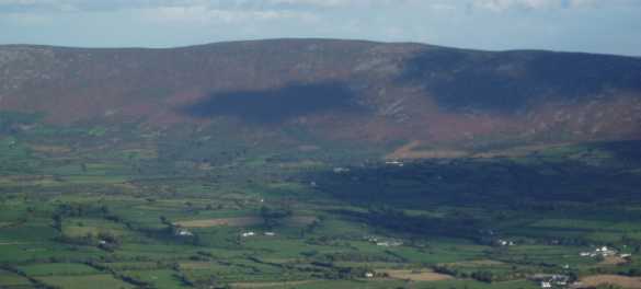 MountainViews.ie Picture about mountain White Mountain (<i>Dho Bran</i>) in area Blackstairs Mountains, Ireland