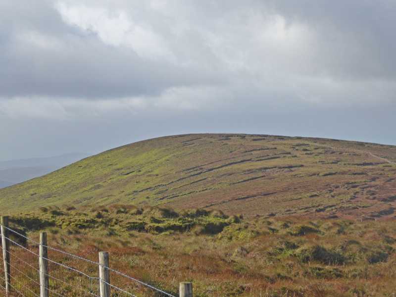 MountainViews.ie Picture about mountain Mullaghsallagh (<i>Mullach Saileach</i>) in area Sperrin Mountains, Ireland