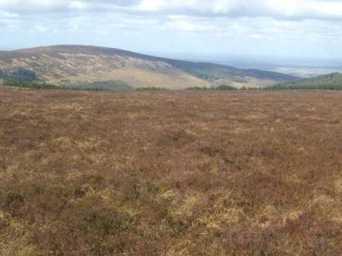 MountainViews.ie Picture about mountain Carroll's Hill  in area Slieve Bloom, Ireland
