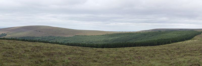 MountainViews.ie Picture about mountain Carroll's Hill  in area Slieve Bloom, Ireland