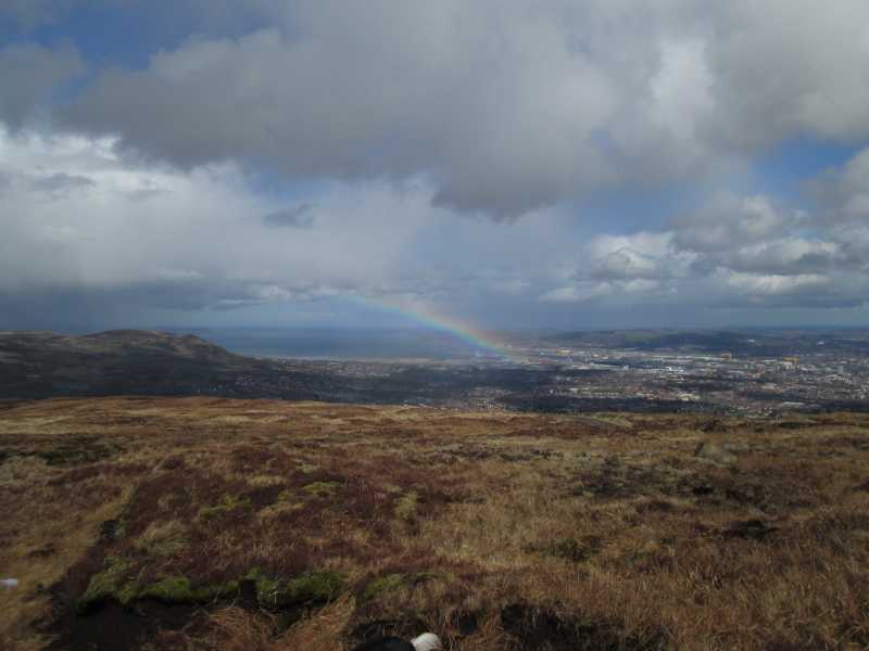 MountainViews.ie Picture about mountain Divis (<i>Dubhais</i>) in area Belfast Hills, Ireland