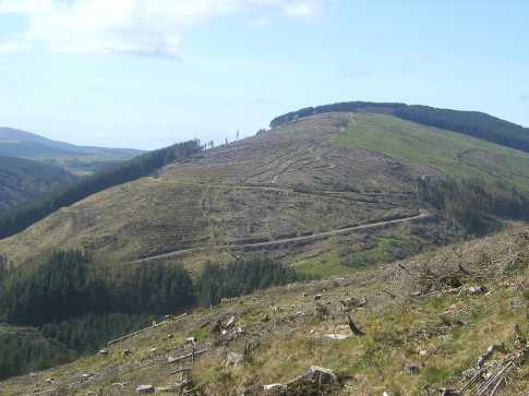 MountainViews.ie Picture about mountain Cooneen Hill (<i>Cnoc an Chuainín</i>) in area Midlands SW, Ireland
