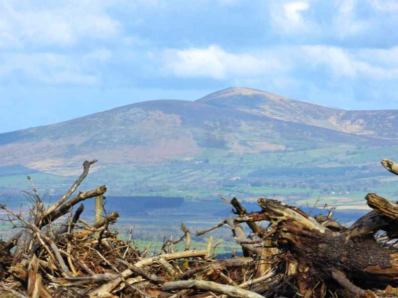 MountainViews.ie Picture about mountain Ballycumber Hill (<i>Cnoc Bhaile an Chomair</i>) in area Wicklow, Ireland