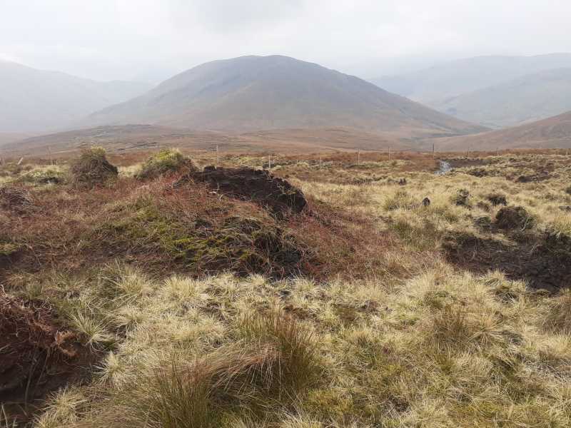 MountainViews.ie Picture about mountain Rinavore (<i>Roighne Mhór</i>) in area Partry & Joyce, Ireland