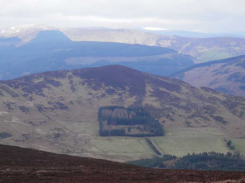 MountainViews.ie Picture about mountain Fananierin (<i>Fán an Fhearainn</i>) in area Wicklow, Ireland