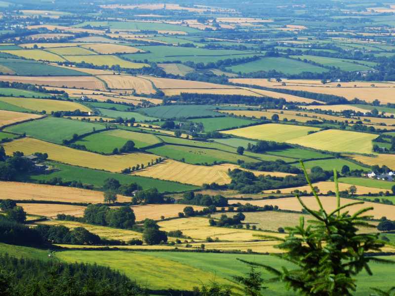 MountainViews.ie Picture about mountain Slieveboy (<i>An Sliabh Buí</i>) in area Wexford, Ireland