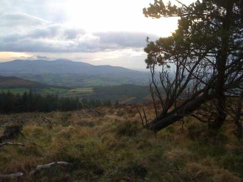 MountainViews.ie Picture about mountain Stookeen (<i>Stuaicín</i>) in area Wicklow, Ireland