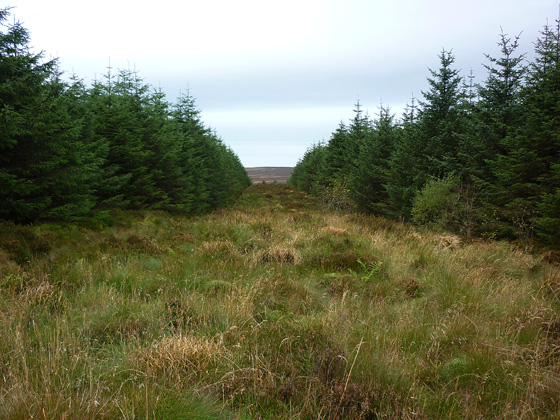 MountainViews.ie Picture about mountain Soarns Hill (<i>Sliabh Bán</i>) in area Antrim Hills, Ireland