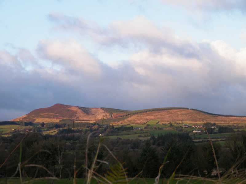 MountainViews.ie Picture about mountain Carrigeenamronety (<i>Carraigín na mBróinte</i>) in area Ballyhoura Mountains, Ireland