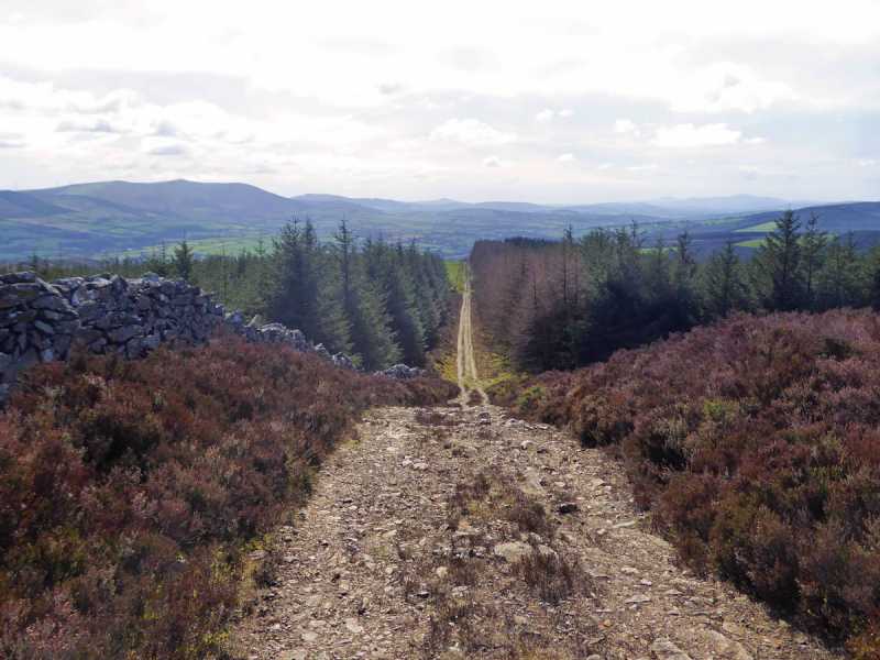 MountainViews.ie Picture about mountain Cushbawn (<i>Cuisleán</i>) in area Wicklow, Ireland