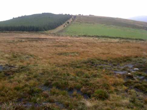 MountainViews.ie Picture about mountain Preban Hill (<i>Cnoc an Phreabáin</i>) in area Wicklow, Ireland
