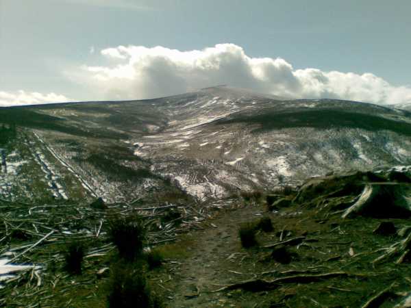 MountainViews.ie Picture about mountain Djouce (<i>Dioghais</i>) in area Wicklow, Ireland