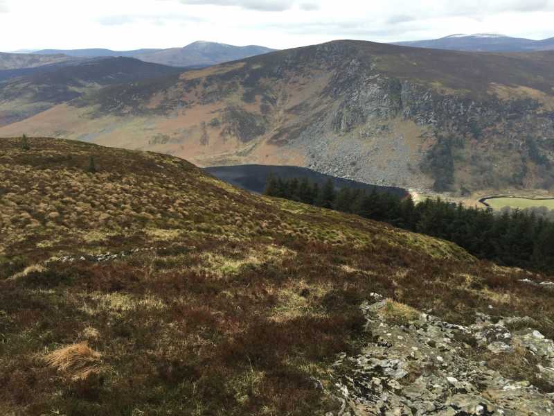 MountainViews.ie Picture about mountain Djouce (<i>Dioghais</i>) in area Wicklow, Ireland