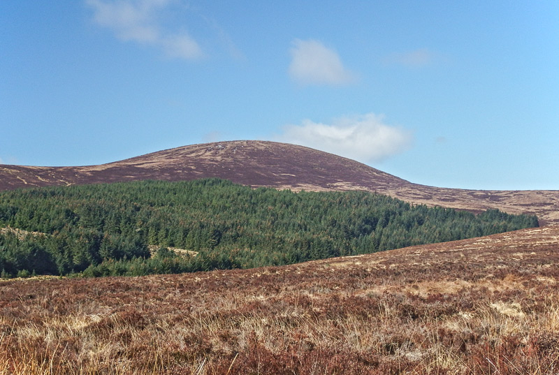 MountainViews.ie Picture about mountain Duff Hill (<i>An Cnoc Dubh</i>) in area Wicklow, Ireland