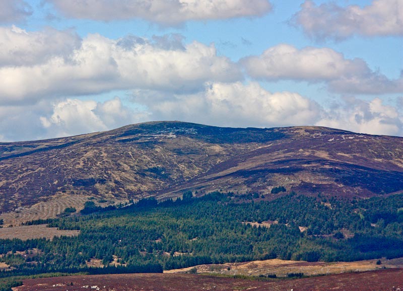 MountainViews.ie Picture about mountain Gravale (<i>Droibhéal</i>) in area Wicklow, Ireland