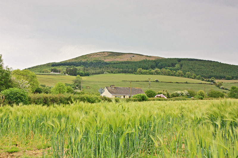 MountainViews.ie Picture about mountain Slievecoiltia (<i>Sliabh Coltair</i>) in area Wexford, Ireland