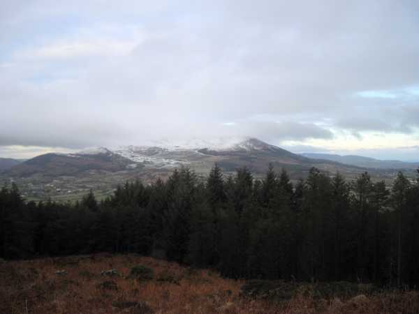 MountainViews.ie Picture about mountain Tievecrom (<i>An Taobh Crom</i>) in area Gullion, Ireland