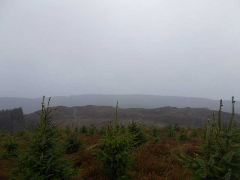 MountainViews.ie Picture about mountain Craig Foel-y-ddinas  in area Bala to Welshpool, Ireland