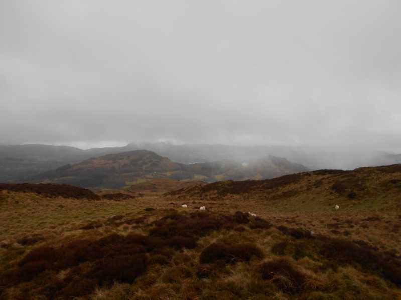MountainViews.ie Picture about mountain Moel y Llan  in area Barmouth to Betws-y-Coed and Bala, Ireland