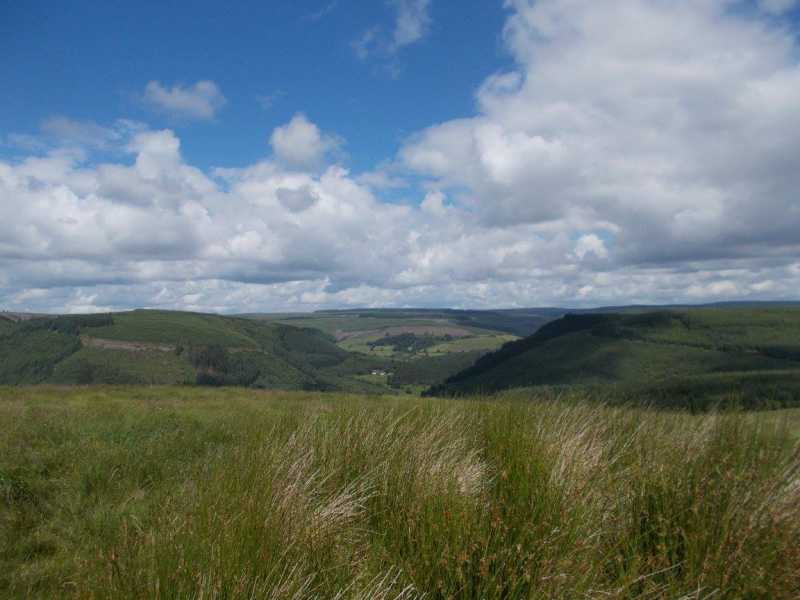MountainViews.ie Picture about mountain Cefn Alltwinau  in area South-West Wales, Ireland