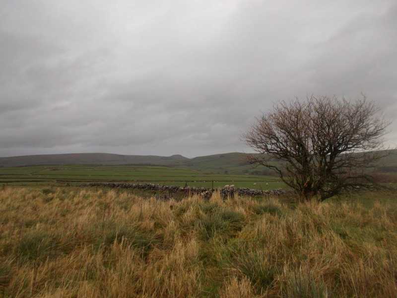 MountainViews.ie Picture about mountain Bee Low  in area Lancashire, Cheshire & the Southern Pennines, Ireland