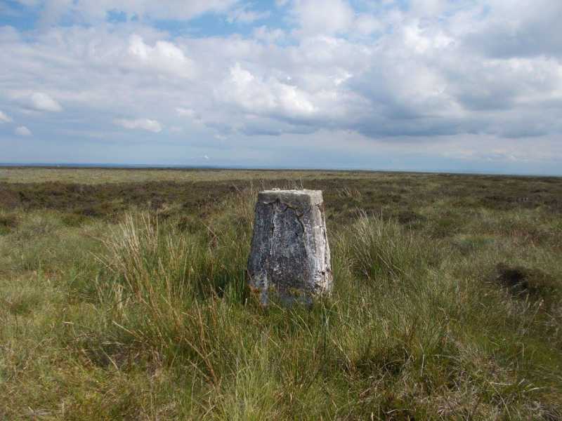 MountainViews.ie Picture about mountain Danby High Moor  in area The River Tees to The Wash, Ireland