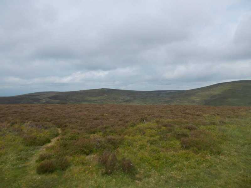 MountainViews.ie Picture about mountain Challacombe Down  in area Cornwall & Devon, Ireland
