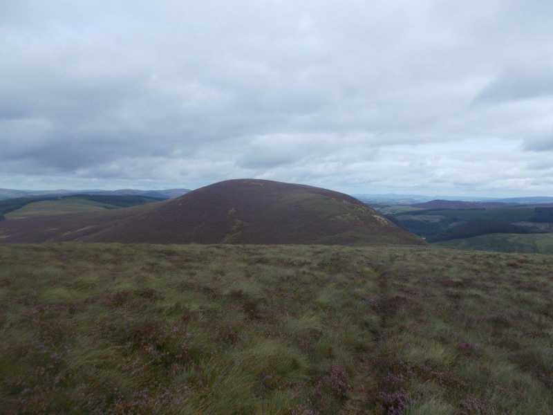 MountainViews.ie Picture about mountain Foel Goch  in area Bala to Welshpool, Ireland