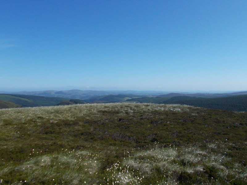 MountainViews.ie Picture about mountain Pen y Cerrig Duon  in area Bala to Welshpool, Ireland