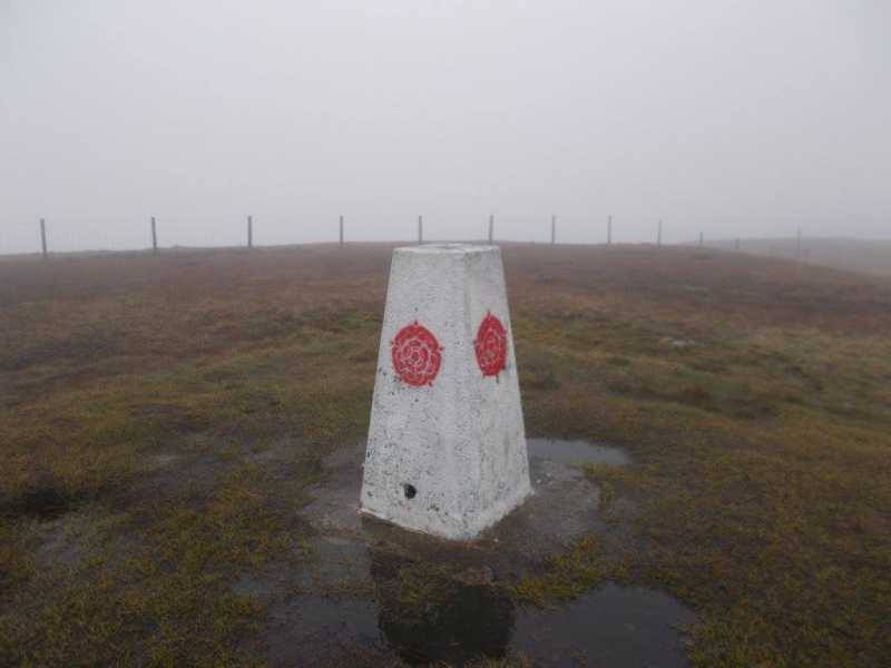 MountainViews.ie Picture about mountain Winter Hill  in area Lancashire, Cheshire & the Southern Pennines, Ireland