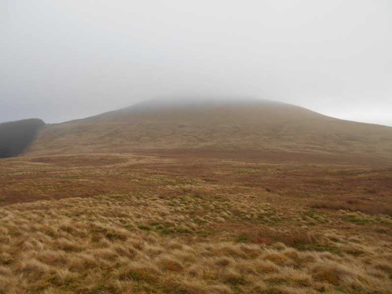 MountainViews.ie Picture about mountain Foel Figenau  in area Bala to Welshpool, Ireland