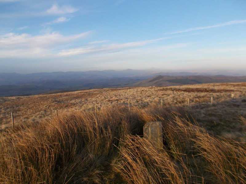 MountainViews.ie Picture about mountain Bryn y Fedwen  in area Aberystwyth to Welshpool, Ireland