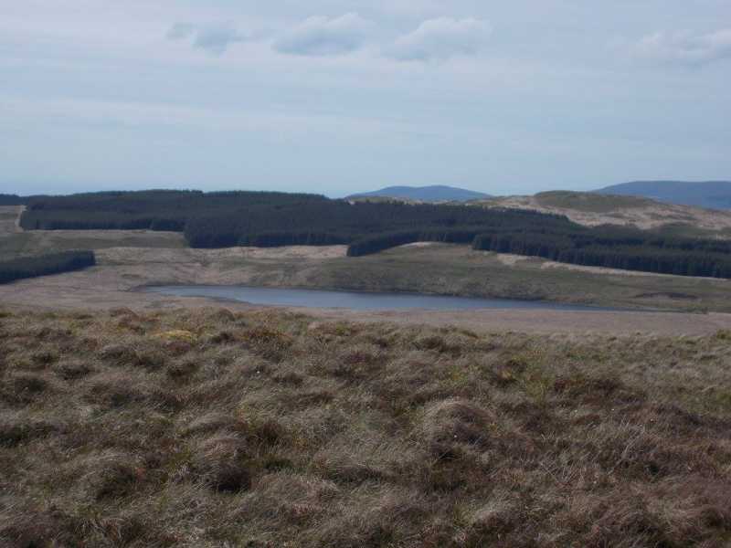 MountainViews.ie Picture about mountain Foel Fras  in area Aberystwyth to Welshpool, Ireland