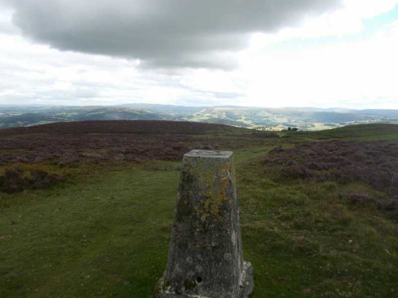 MountainViews.ie Picture about mountain Moelfre  in area Llandovery to Monmouth, Ireland