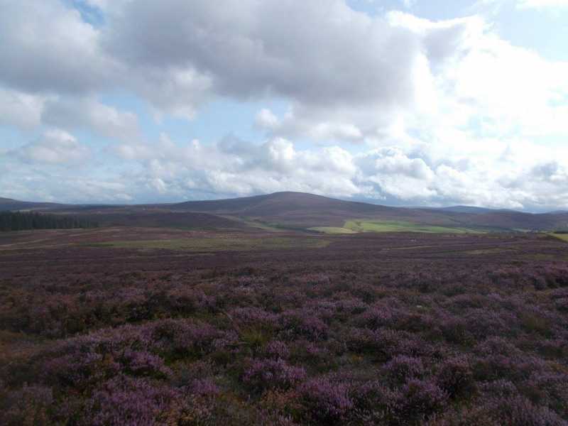 MountainViews.ie Picture about mountain Pen Creigiau'r Barcut  in area Bala to Welshpool, Ireland