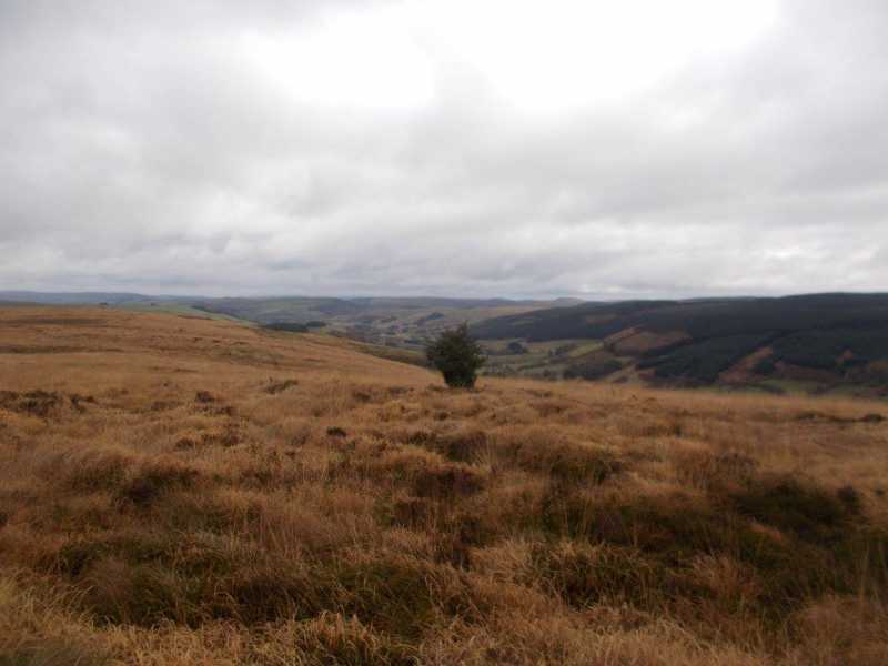 Allt Pant-mawr 496m hill, Aberystwyth to Welshpool Central Wales ...