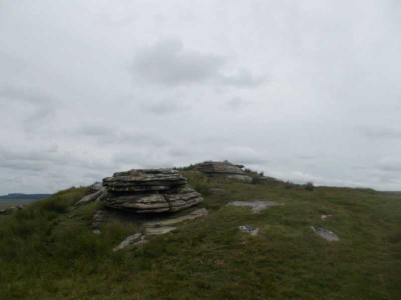 MountainViews.ie Picture about mountain Hound Tor  in area Cornwall & Devon, Ireland