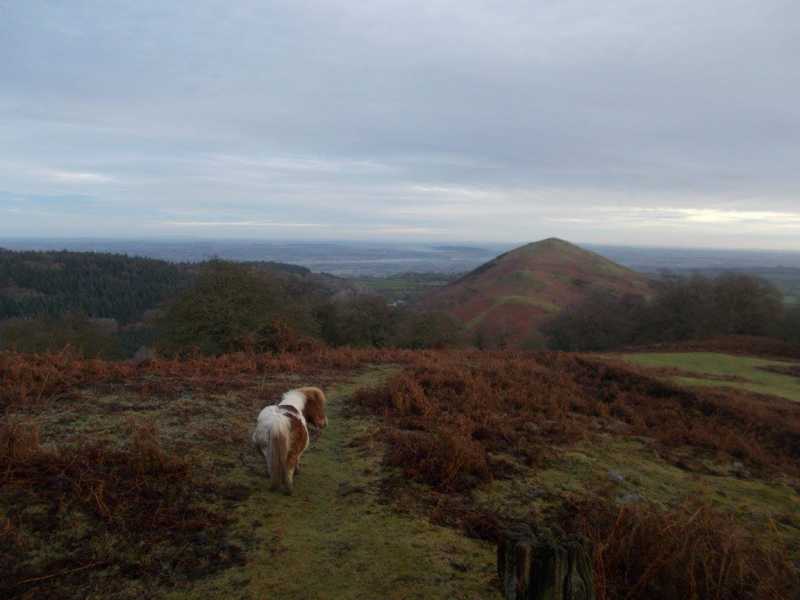 MountainViews.ie Picture about mountain Moel y Golfa  in area Welshpool to Hay-on-Wye, Ireland